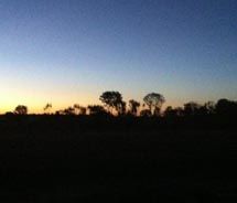 Sunset at Wildman Wilderness Lodge c 2011 Janeen Christoff s.jpg